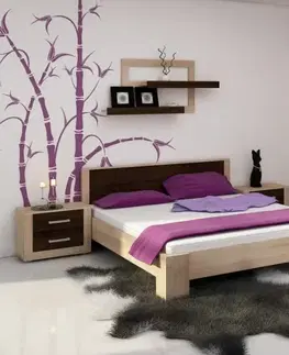 WIP Manželská posteľ VIKI 10 | s roštom Farba: Slivka / čierny lesk