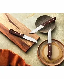 Amefa Sada steakových nožov Hercule, 4 ks