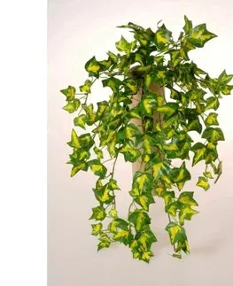 Umelý Brečtan závesná dekoratívna umelá rastlina, v. 50 cm