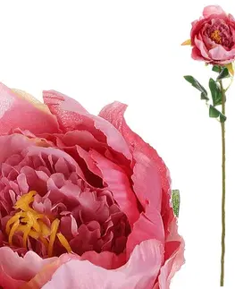 Umelá kvetina Pivonka ružová, 11 x 70 x 11 cm