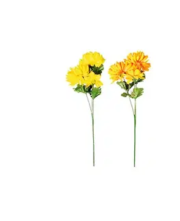 Chryzantéma plnokvetá, 3 kvety, v. 58 cm