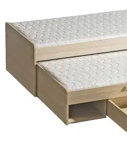 Dolmar Detská posteľ s prístelkou CORNETO L16 Farba: Biely briliant / dub nash