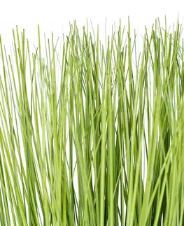 Truhlík s umelou trávou, 38 x 30 x 10 cm
