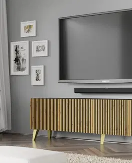 ARTBm TV stolík RAVENNA F 4D 200  | čierna matná / dub artisan Prevedenie: Čierna matná / dub artisan / zlatá podnož
