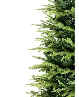 Vianočný stromček Smrek sivý, 150 cm 