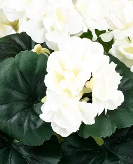 Umelá kvetina Muškát v kvetináči biela, 26 x 10 x 10 cm