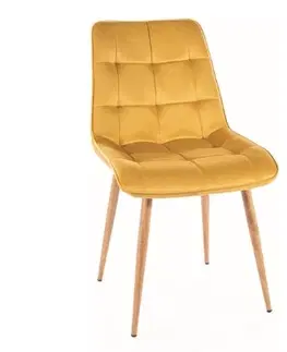 Signal Jedálenská stolička CHIC D VELVET | drevené nohy Farba: Tyrkysová / Bluvel 85
