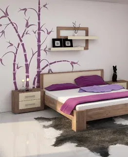 WIP Manželská posteľ VIKI 11 | bez roštu Farba: Slivka / čierny lesk