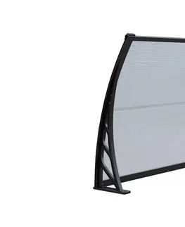 ArtRoja Panel polykarbonátu | priehľadná 1146 x 389 mm