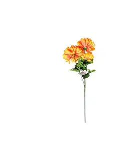 Chryzantéma plnokvetá, 3 kvety, v. 58 cm