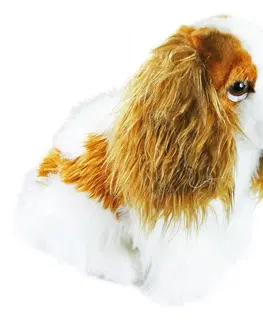 Rappa Plyšový pes King Charles španiel, 25 cm