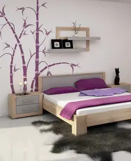 WIP Manželská posteľ VIKI 10 | s roštom Farba: Slivka / čierny lesk