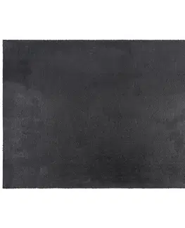 Trade Concept Kokosová rohožka Listy, 40 x 60 cm