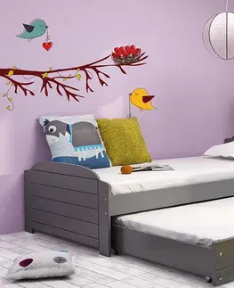 BMS Detská posteľ s prístelkou LILI 2 Farba: Biela - grafit