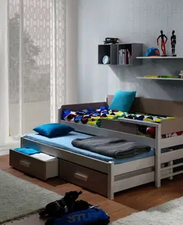 ArtBed Detská posteľ s prístelkou DOIS Prevedenie: Morenie - Farba