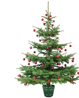 Stojan na vianočný stromček Planet 1 zelená 
