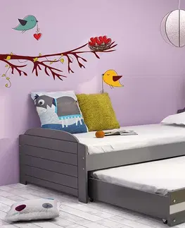 BMS Detská posteľ s prístelkou LILI 2 Farba: Grafit - biela
