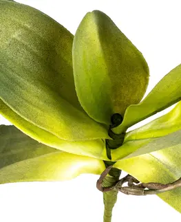 Umelý List orchidey s korienkami, 30 cm