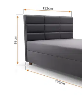 ArtIdz Jednolôžková posteľ APINO II 120 cm Farba: Sivá