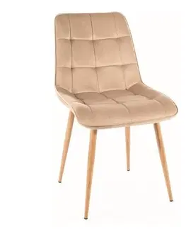 Signal Jedálenská stolička CHIC D VELVET | drevené nohy Farba: Svetlosivá / Bluvel 03