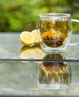 4Home Termo pohár Big Tea Hot&Cool, 480 ml, 1 ks 