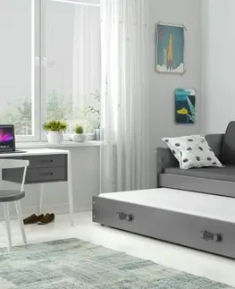BMS Detská posteľ s prístelkou DAWID | sivá 90 x 200 cm Farba: Sivá