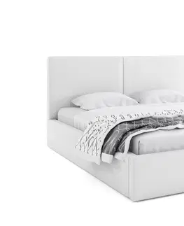 BMS Manželská posteľ HAILEY | bez matraca 160 x 200 cm Farba: Sivá