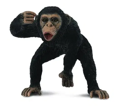 COLLECTA - Šimpanz