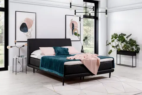 ArtElta Manželská posteľ ASTERIA | 180 x 200 cm Farba: Čierna / Soft 11