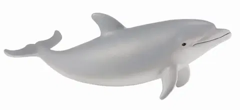 COLLECTA - Delfín skákavý