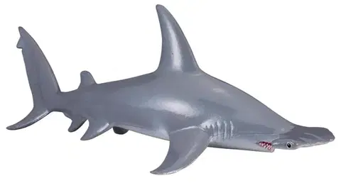 COLLECTA - Žralok Kladivohlavý